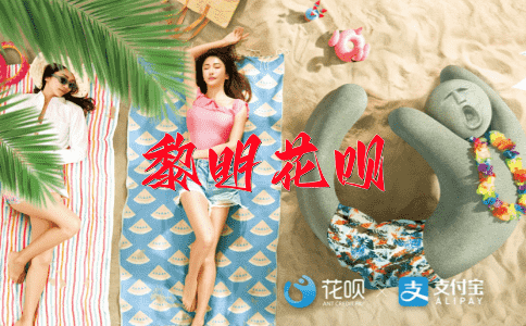 麻雀虽小，五脏俱全花呗